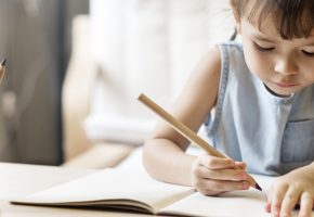 como-declarar-educacao