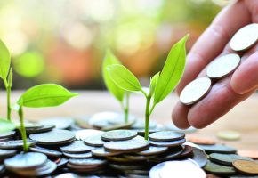 lições de investimento