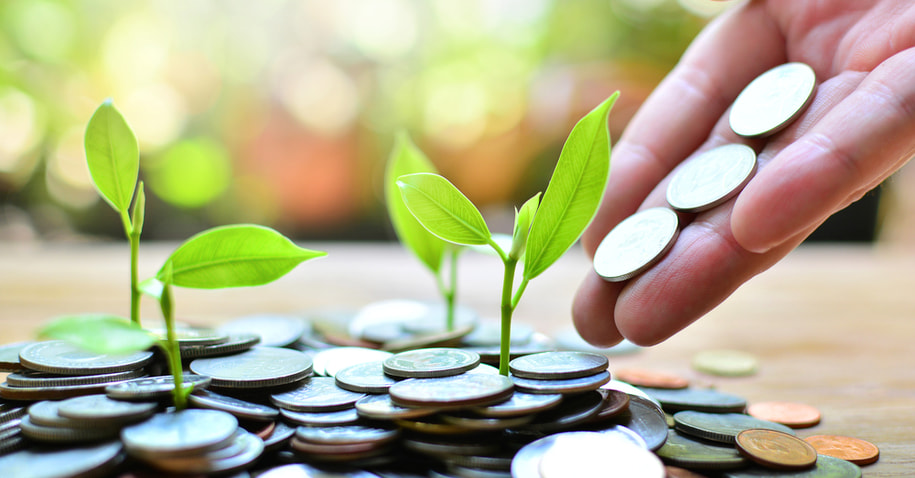 lições de investimento