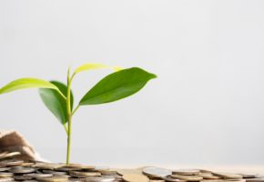 previdencia privada simplificada