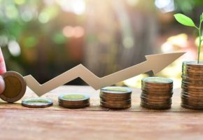 fundos de investimento