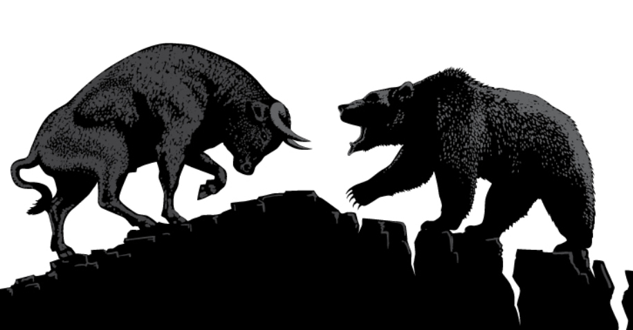 bull x bear