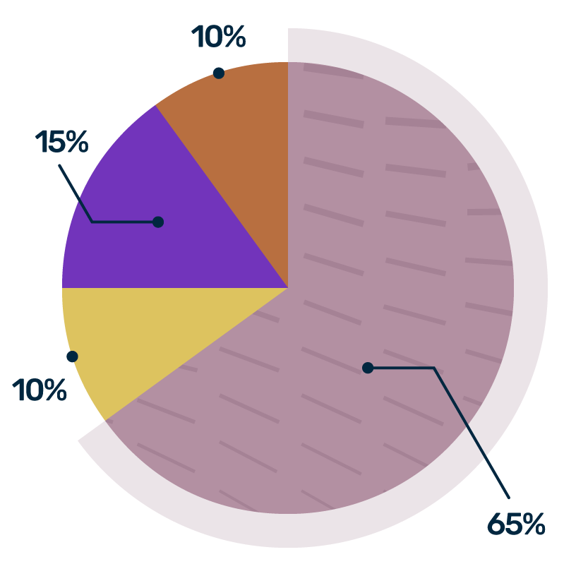 Gráfico demonstrando que 65% da carteira é em renda fixa, 15% investido em bolsa Brasil, 10% em bolsa EUA e 10% de Proteções